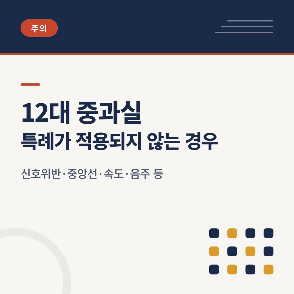 12대 중과실 교통사고