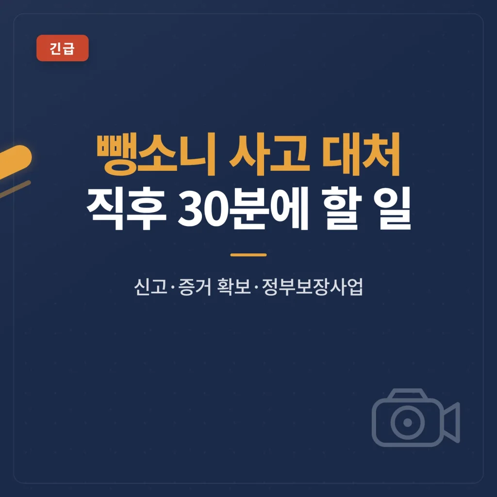 뺑소니 사고 대처